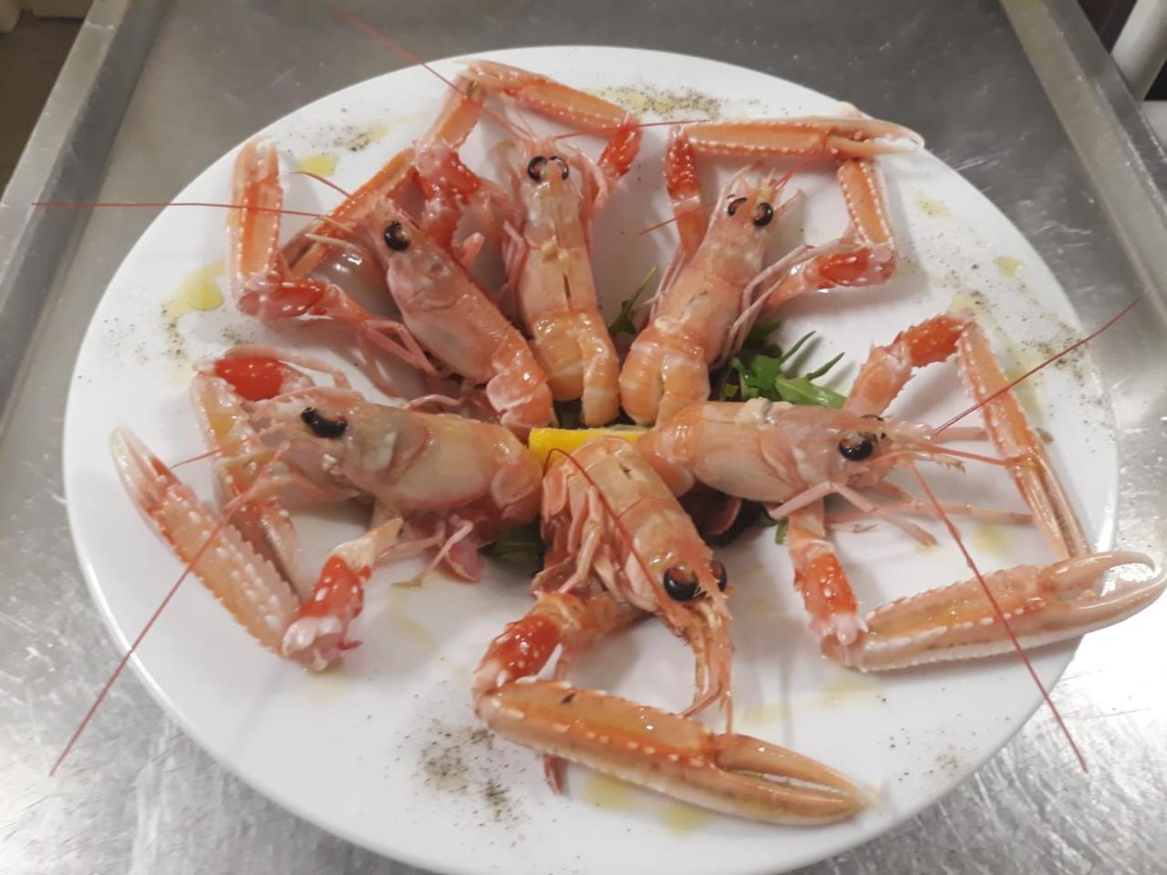 Residence I Delfini 쿠프라마리티마 외부 사진